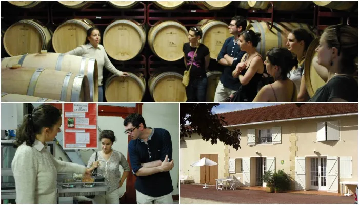 CHÂTEAU MERCIER,Saint-Trojan,33710,Nouvelle-Aquitaine,France