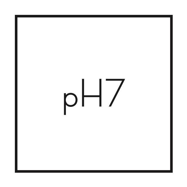 Un magasin de décoration tendance, chic,Bordeaux,33000,Nouvelle-Aquitaine,France