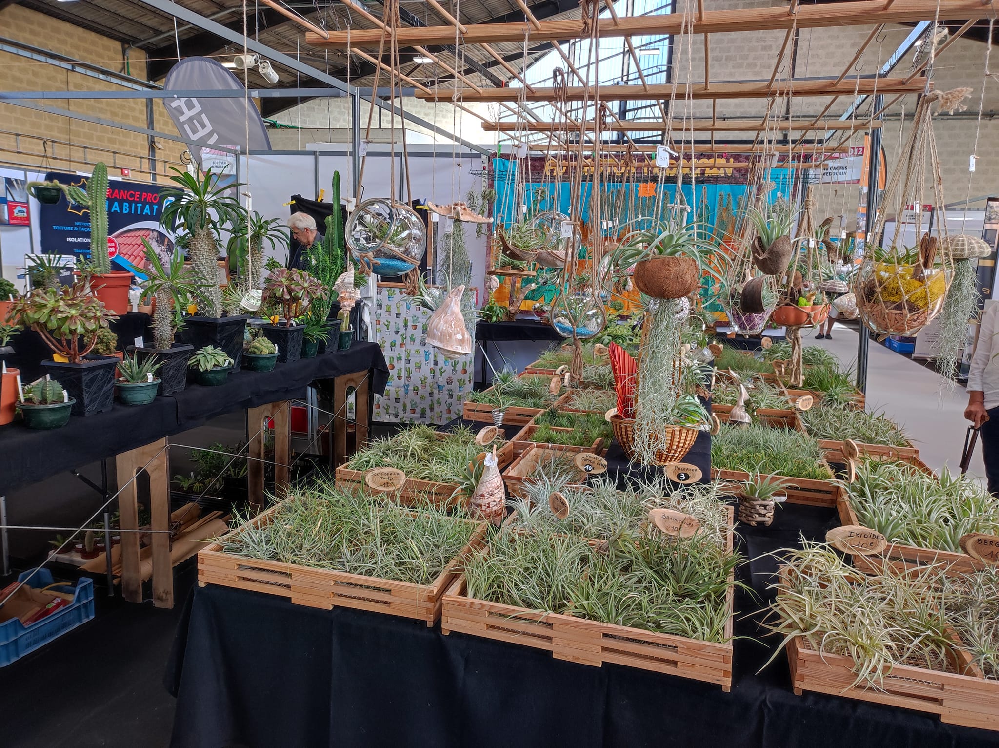 Une boutique de reproduction et vente de cactus et plantes grasses,Vertheuil,33180,Nouvelle-Aquitaine,France