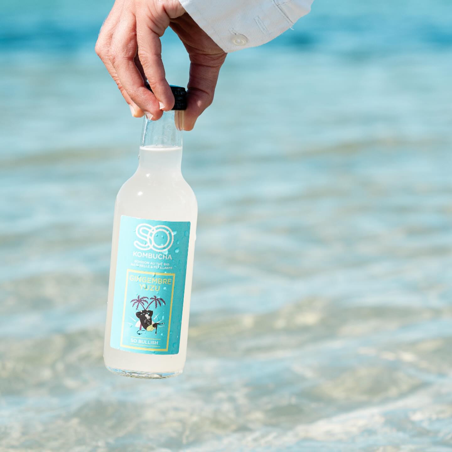 Une boisson BIO à base de thé, 100% naturelle,Bordeaux,33000,Nouvelle-Aquitaine,France