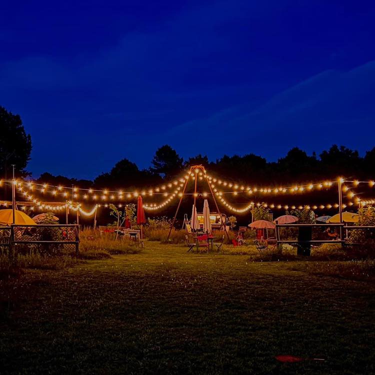 La chouette guinguette chez Mélou,Noaillan,33730,Nouvelle-Aquitaine,France
