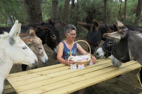 Visite guidée de la ferme de L'Asinerie de Larrouey,Gans,33124,Nouvelle-Aquitaine,France