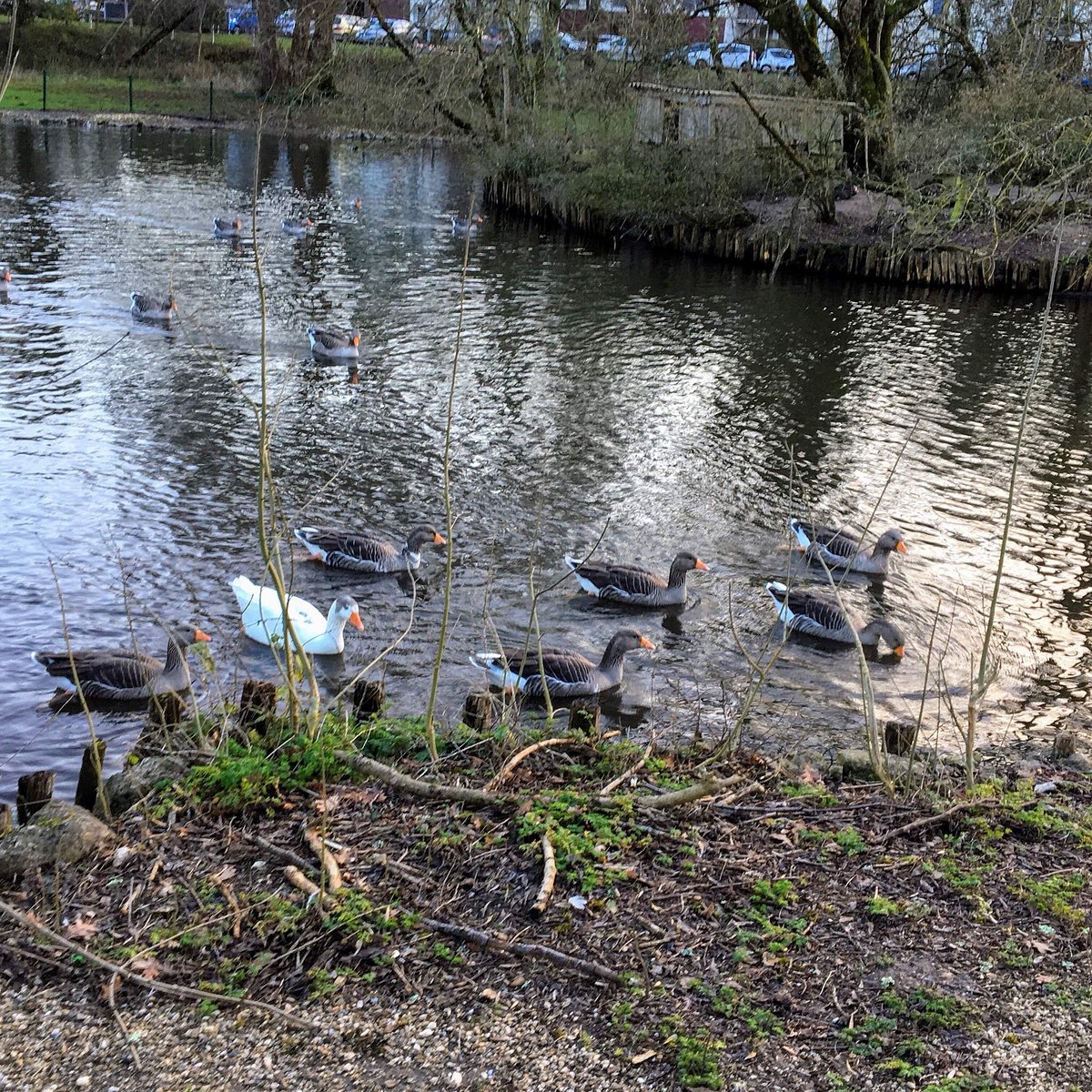 Parc Animalier du Moulineau René Canivenc,Gradignan,33170,Nouvelle-Aquitaine,France