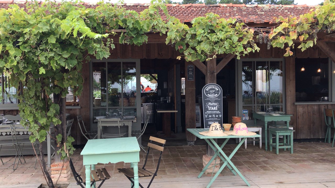 La Cabane des Kykouyou,Lège-Cap-Ferret,33950,Nouvelle-Aquitaine,France