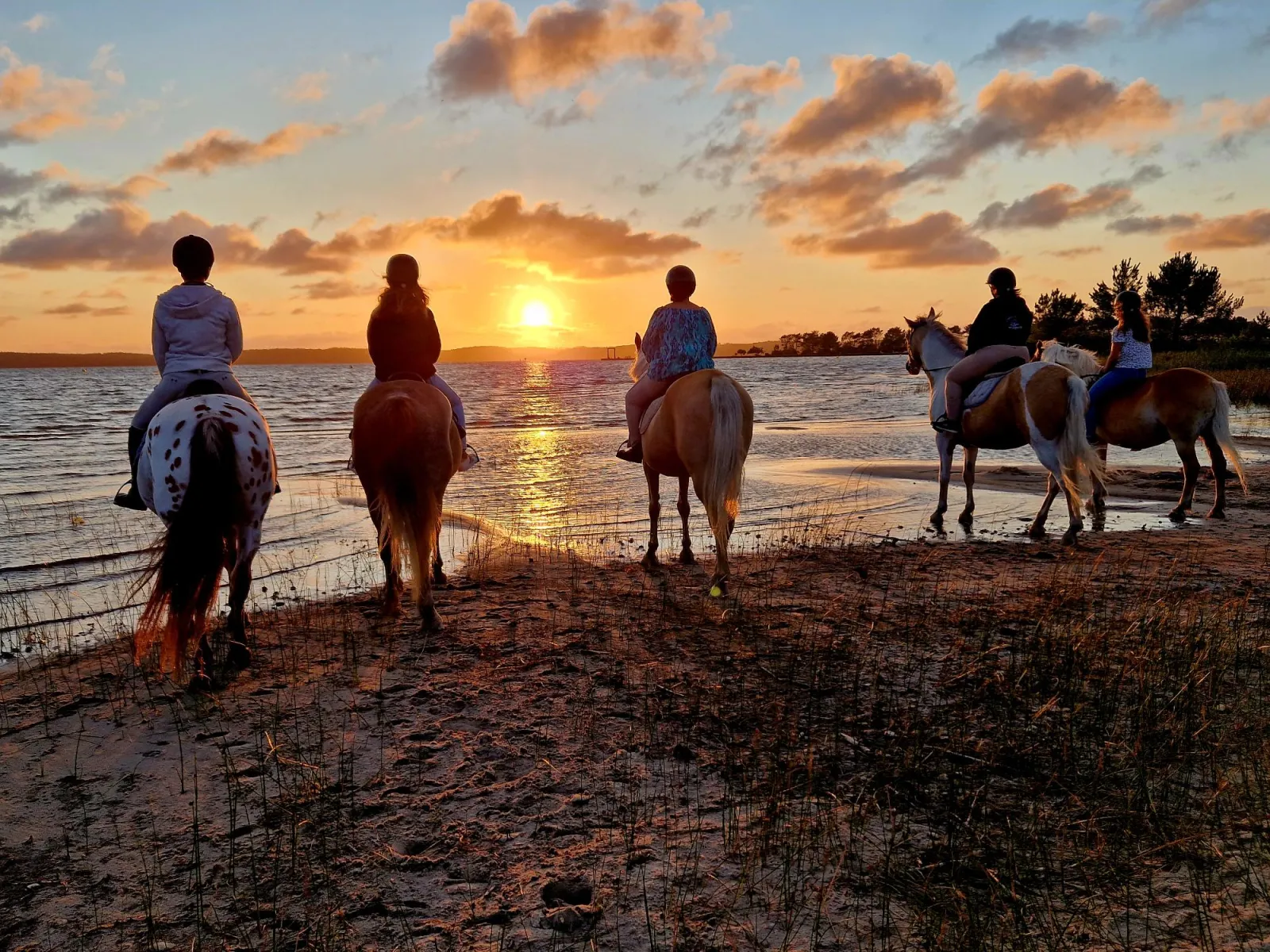 RANCH DES LAMBERTS,Moulis-en-Médoc,33480,Nouvelle-Aquitaine,France