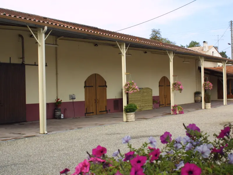 Dégustation-vente aux vignobles Borderie,Saint-Médard-de-Guizières,33230,Nouvelle-Aquitaine,France