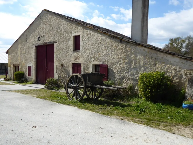 CHÂTEAU DE LISENNES,Tresses,33370,Nouvelle-Aquitaine,France