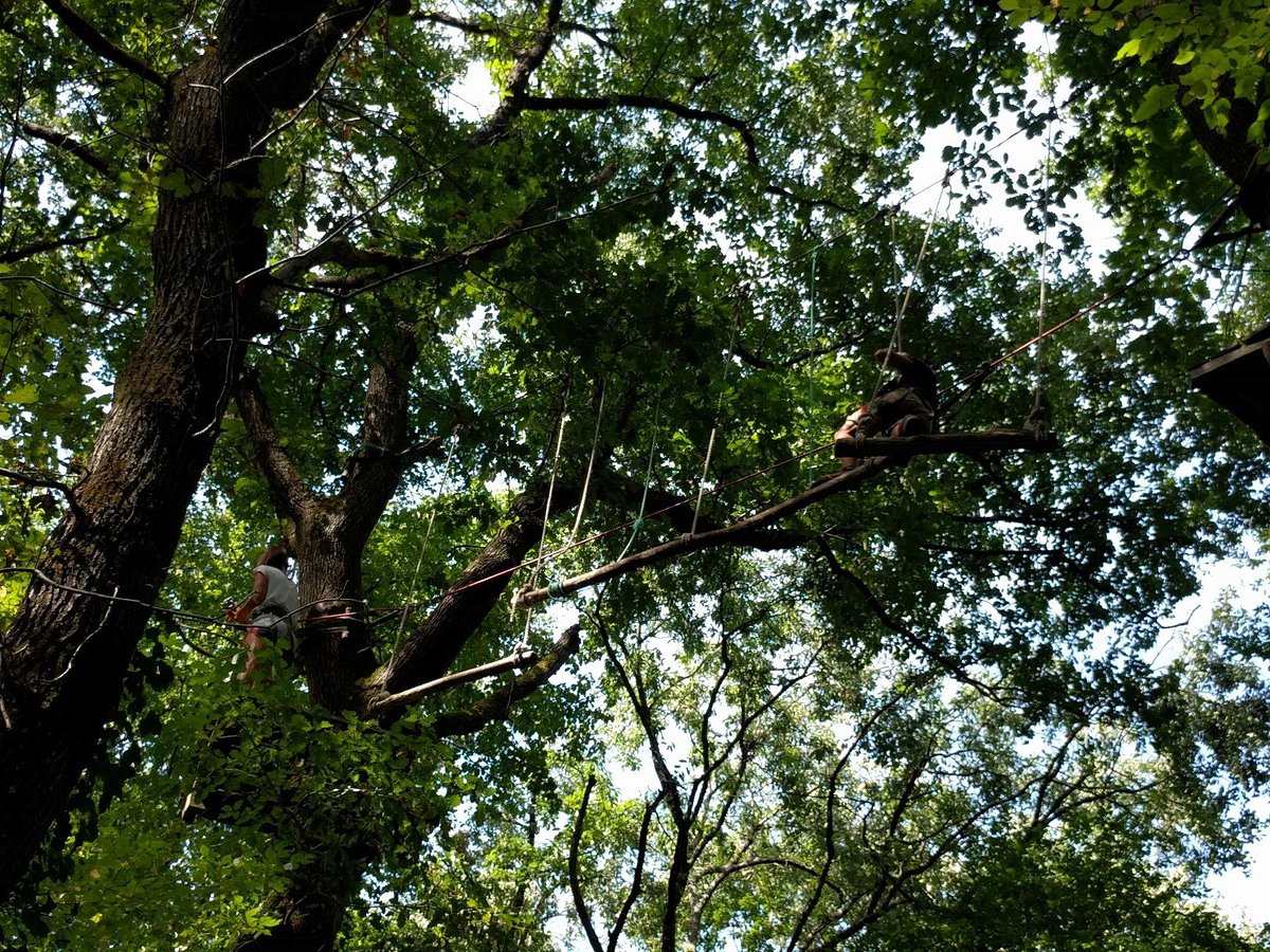 Parc Arbor et Sens,Saint-Gènes-de-Lombaud,33670,Nouvelle-Aquitaine,France