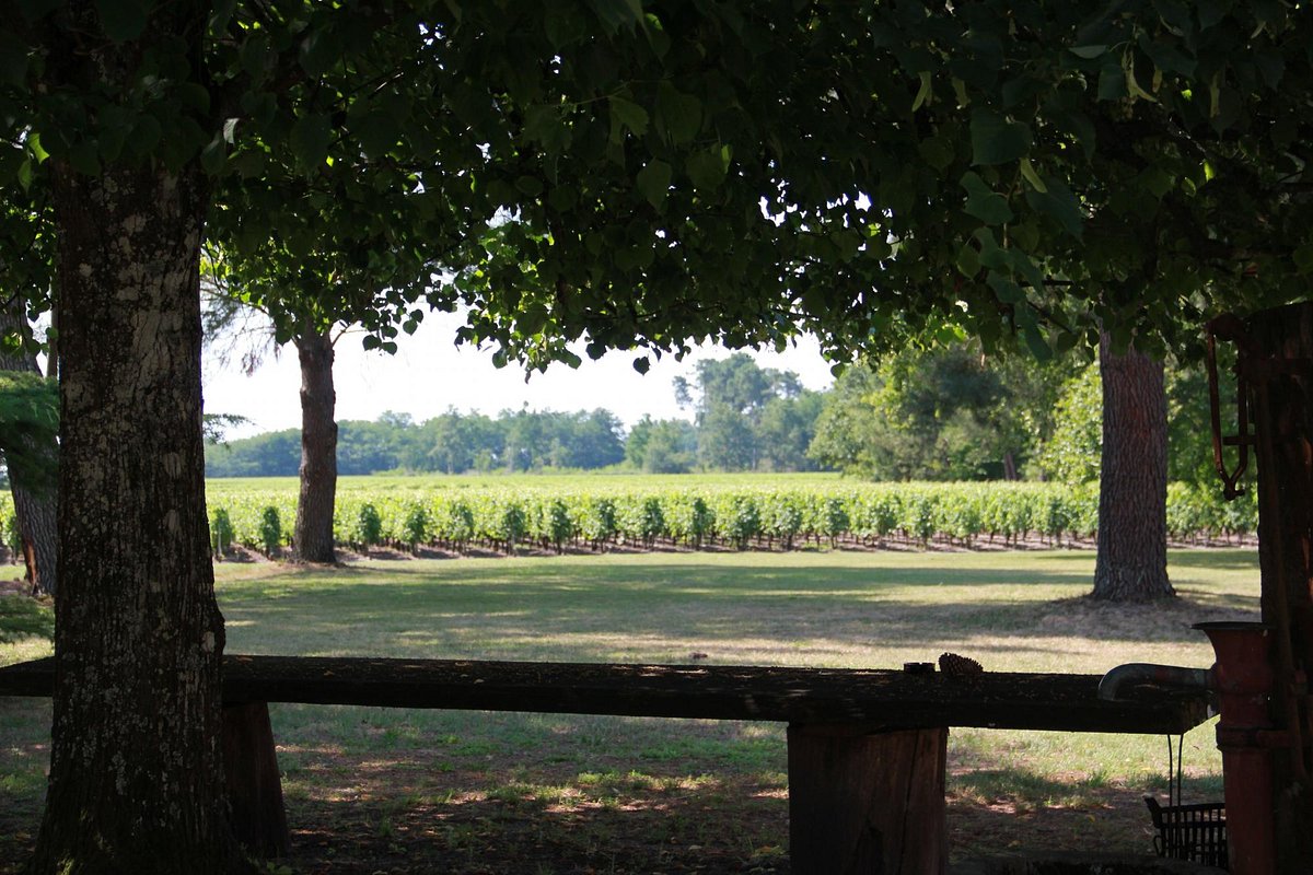 Chateau Baudan,Listrac-Médoc,33480,Nouvelle-Aquitaine,France