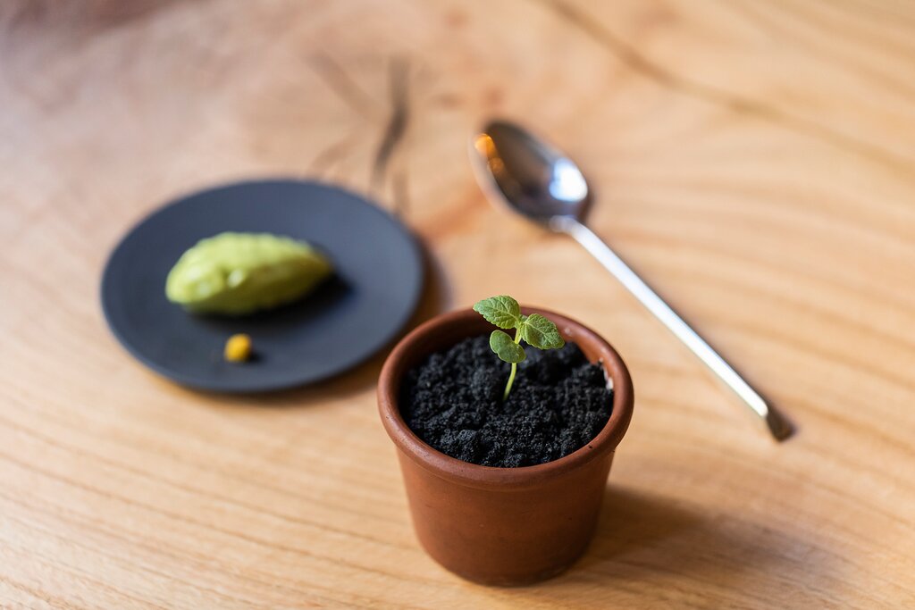 Son' Restaurant,Bordeaux,33000,Nouvelle-Aquitaine,France