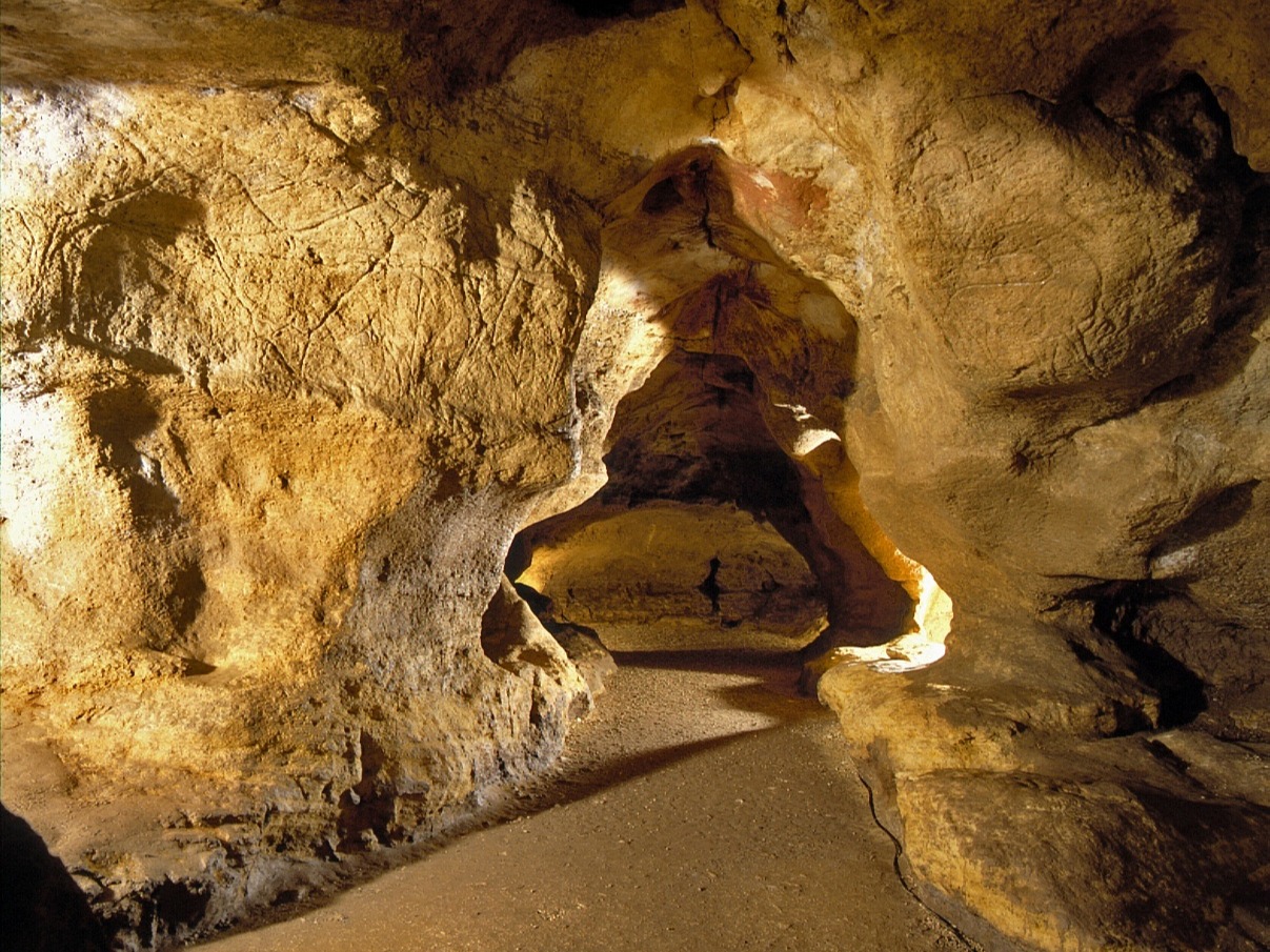 Visite commentée de la Grotte de Pair non pair,Prignac-et-Marcamps,33710,Nouvelle-Aquitaine,France