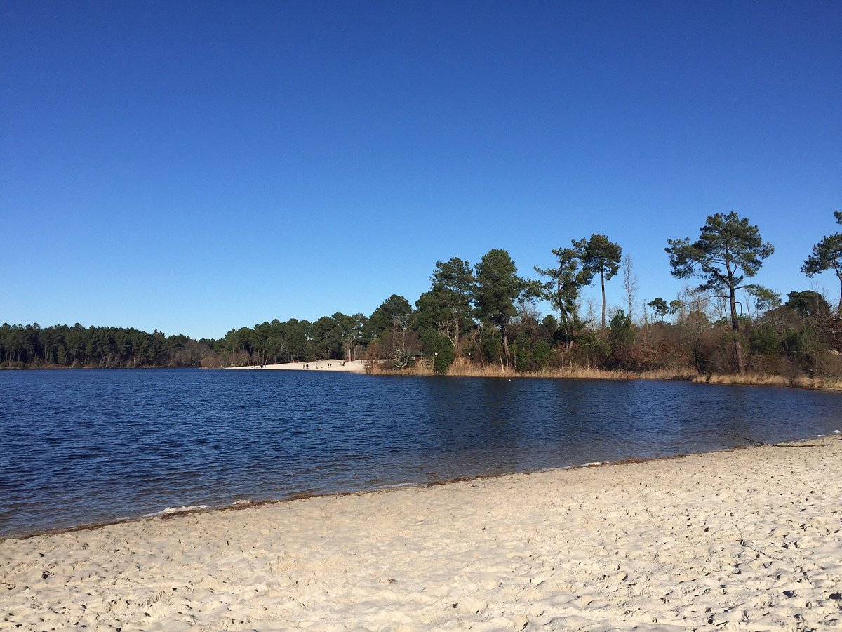 Domaine Départemental Gérard Lagors,Hostens,33125,Nouvelle-Aquitaine,France