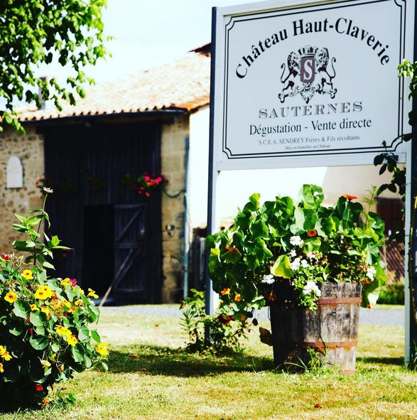 Vin Sauternes Haut-Claverie,Fargues,33210,Nouvelle-Aquitaine,France