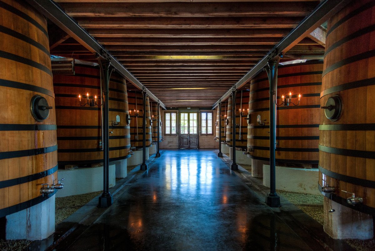 Bordeaux with Elodie,Bordeaux,33330,Nouvelle-Aquitaine,France