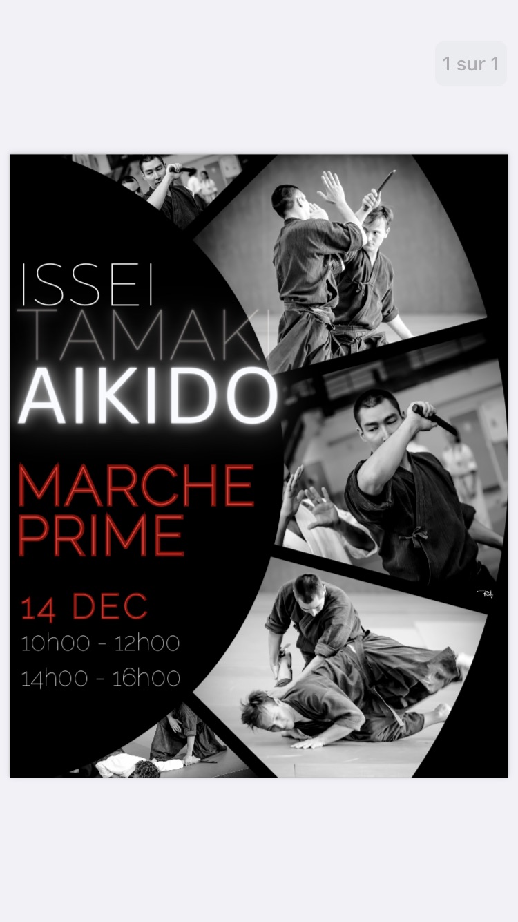 Stage d'Aïkido avec Issei Tamaki,Marcheprime,33380,Nouvelle-Aquitaine,France