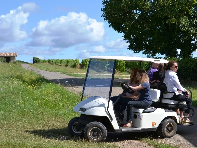 CHÂTEAU DE BONHOSTE,Saint-Jean-de-Blaignac,33420,Nouvelle-Aquitaine,France