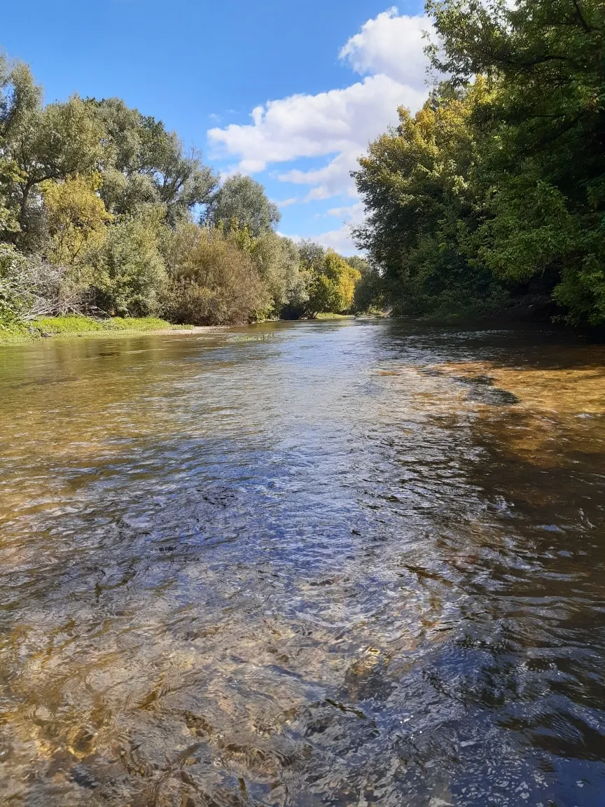 CANOË SUR LA DRONNE avec VILLAGE DU LIVRE,Sablons,33910,Nouvelle-Aquitaine,France