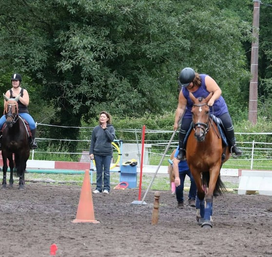 Un espace de bonheur pour les chevaux et les cavaliers,Louchats,33125,Nouvelle-Aquitaine,France