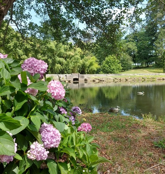 Plongez dans l'élégance naturelle des jardins du Château de Cazeneuve, une beauté au cœur de l'Entre-Deux-Mers.,Préchac,33730,Nouvelle-Aquitaine,France