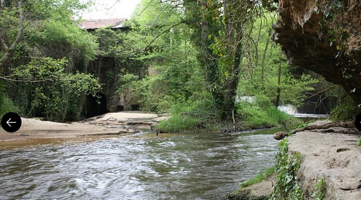 Plongez dans l'élégance naturelle des jardins du Château de Cazeneuve, une beauté au cœur de l'Entre-Deux-Mers.,Préchac,33730,Nouvelle-Aquitaine,France