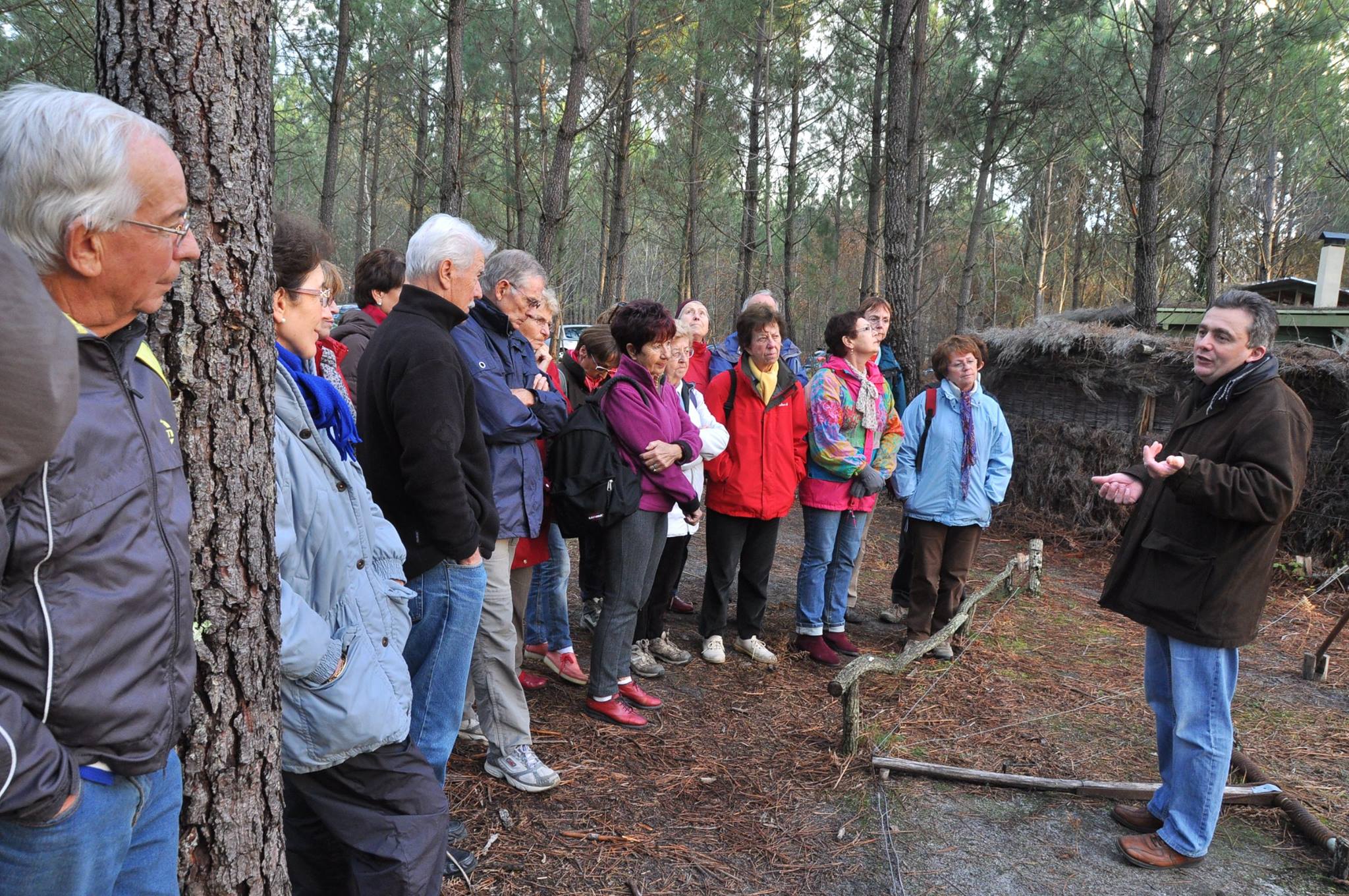 Venez visiter une authentique palombière à seulement 40 minutes de Bordeaux,Louchats,33125,Nouvelle-Aquitaine,France