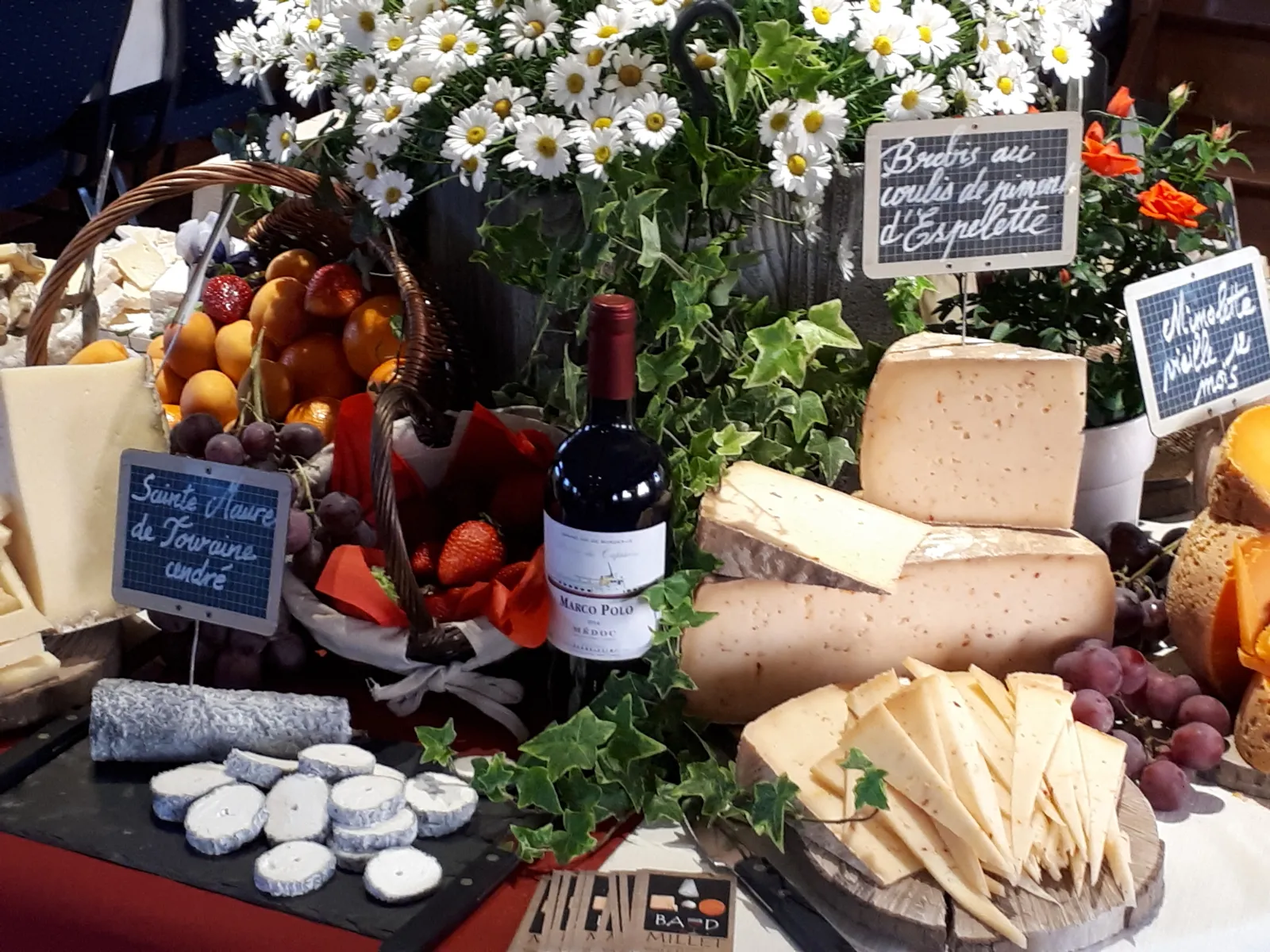 MARCO POLO (BORDEAUX),Bordeaux,33100,Nouvelle-Aquitaine,France