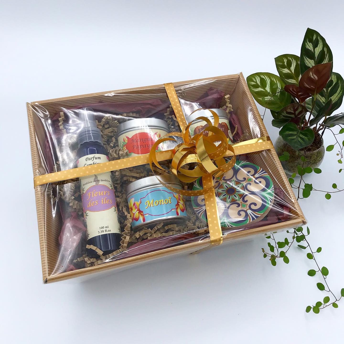 Créateur de #bougies et parfums d'ambiance.,Dieulivol,33580,Nouvelle-Aquitaine,France