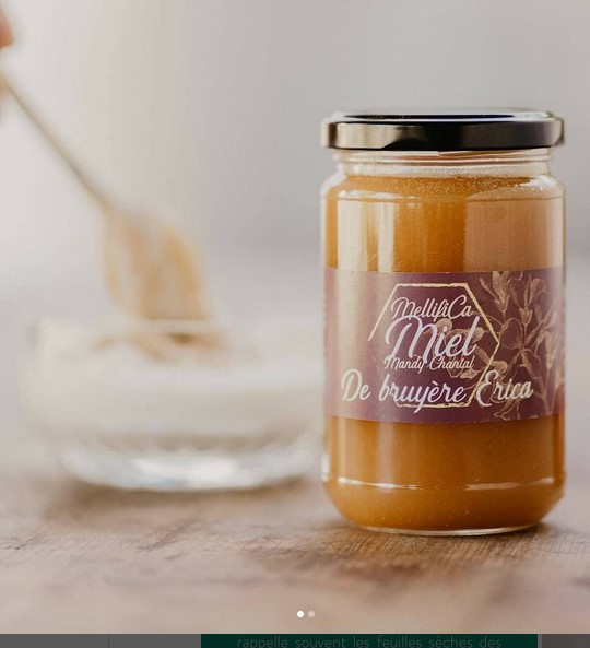 Formation et installations de ruchers chez des particuliers et professionnels,Saint-Martin-de-Lerm,33540,Nouvelle-Aquitaine,France