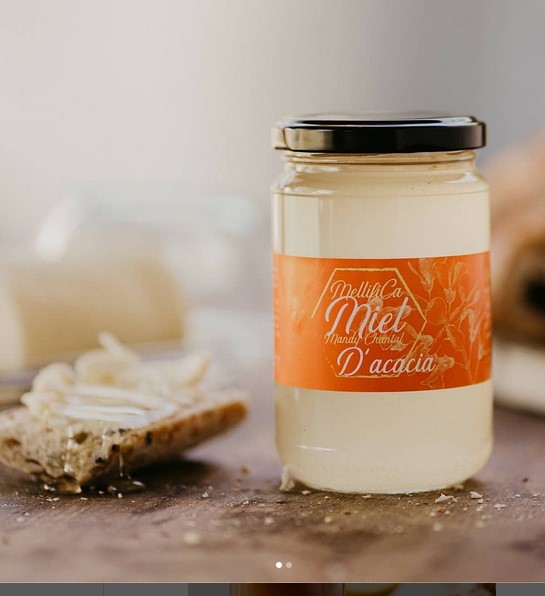 Formation et installations de ruchers chez des particuliers et professionnels,Saint-Martin-de-Lerm,33540,Nouvelle-Aquitaine,France