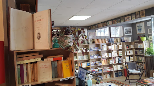 Un magasin spécialisé dans la littérature,La Réole,33190,Nouvelle-Aquitaine,France