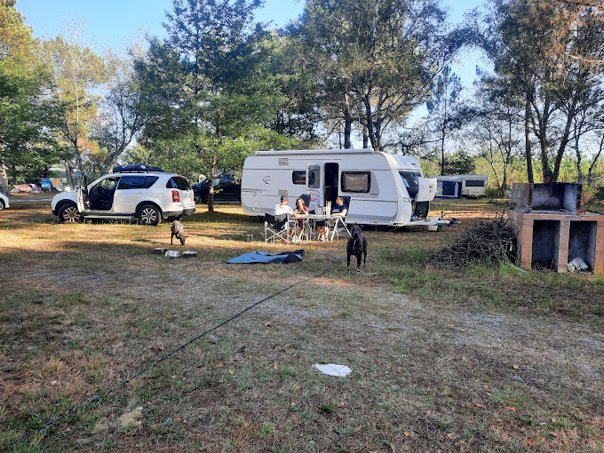Un lieu de villégiature idéal pour ceux qui cherchent à se déconnecter de la vie citadine,Lugos,33830,Nouvelle-Aquitaine,France
