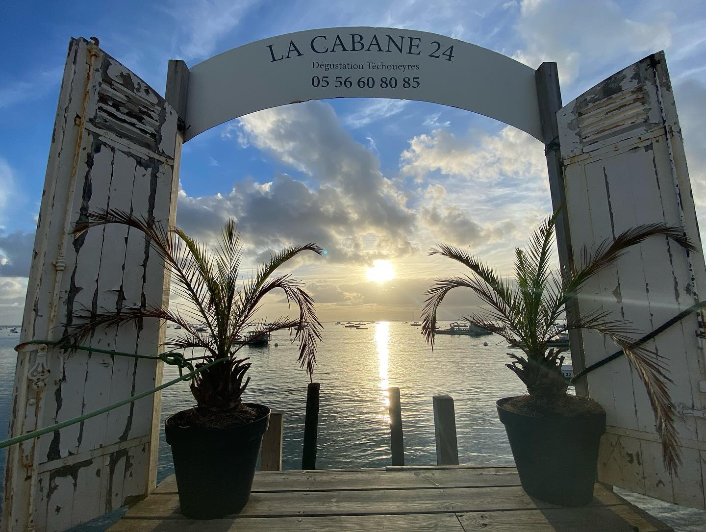 Parachute ascensionnel sur la plage de l'Herbe,Lège-Cap-Ferret,33970,Nouvelle-Aquitaine,France
