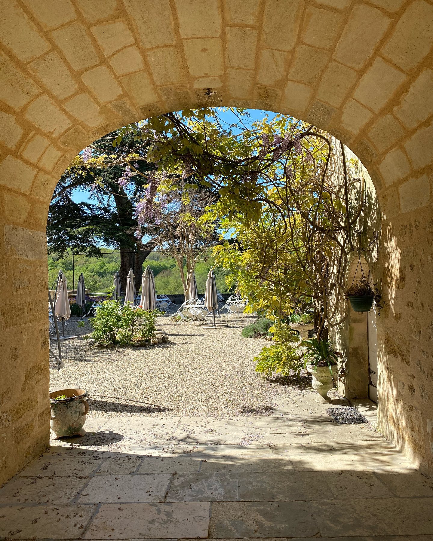 La rencontre d'une terre, d'une vigne et d'une tradition!,Blaignan-Prignac,33340,Nouvelle-Aquitaine,France
