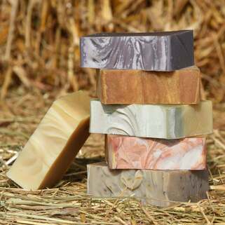 Production de lait d'ânesse et de produits dérivés naturels.,Gans,33430,Nouvelle-Aquitaine,France