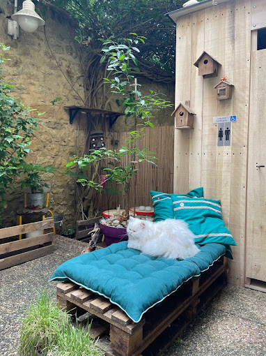 Le Cat-Quarts,Saint-Macaire,33490,Nouvelle-Aquitaine,France