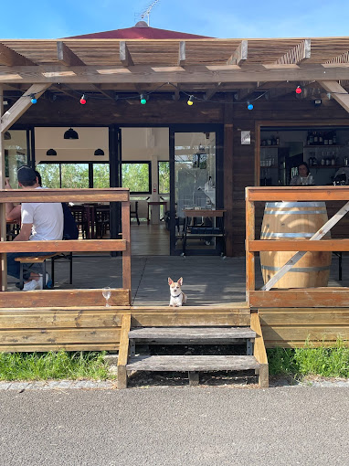 La Guinguette du port des Callonges,Saint-Ciers-sur-Gironde,33820,Nouvelle-Aquitaine,France