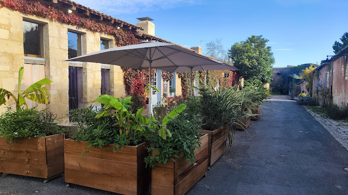 Tropidella,Blaye,33390,Nouvelle-Aquitaine,France