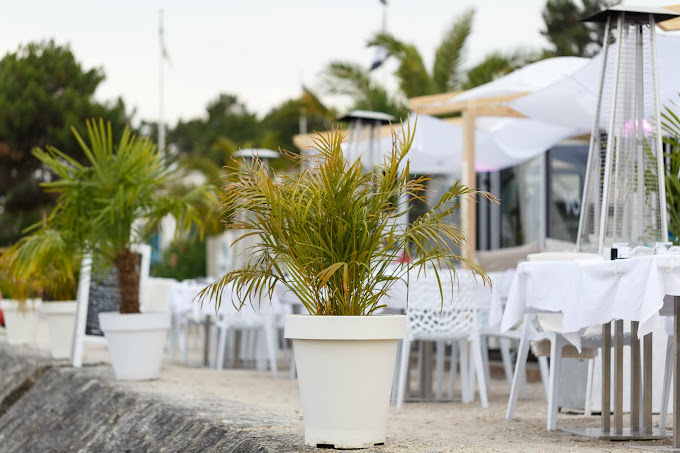 White Garden,Lège-Cap-Ferret,33970,Nouvelle-Aquitaine,France