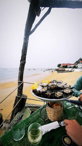 Cabane à Huîtres avec Dany et Laurence,Lège-Cap-Ferret,33950,Nouvelle-Aquitaine,France