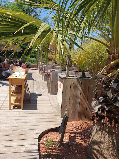 Red Store,Lège-Cap-Ferret,33950,Nouvelle-Aquitaine,France