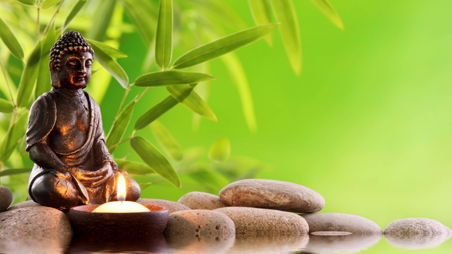 Géobiologie de l'habitat et de l'entreprise,Vendays-Montalivet,33930,Nouvelle-Aquitaine,France