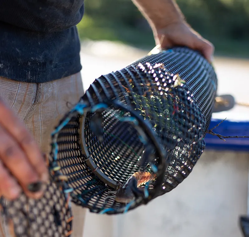 LE PÊCHEUR DE BORDEAUX,Bordeaux,33300,Nouvelle-Aquitaine,France