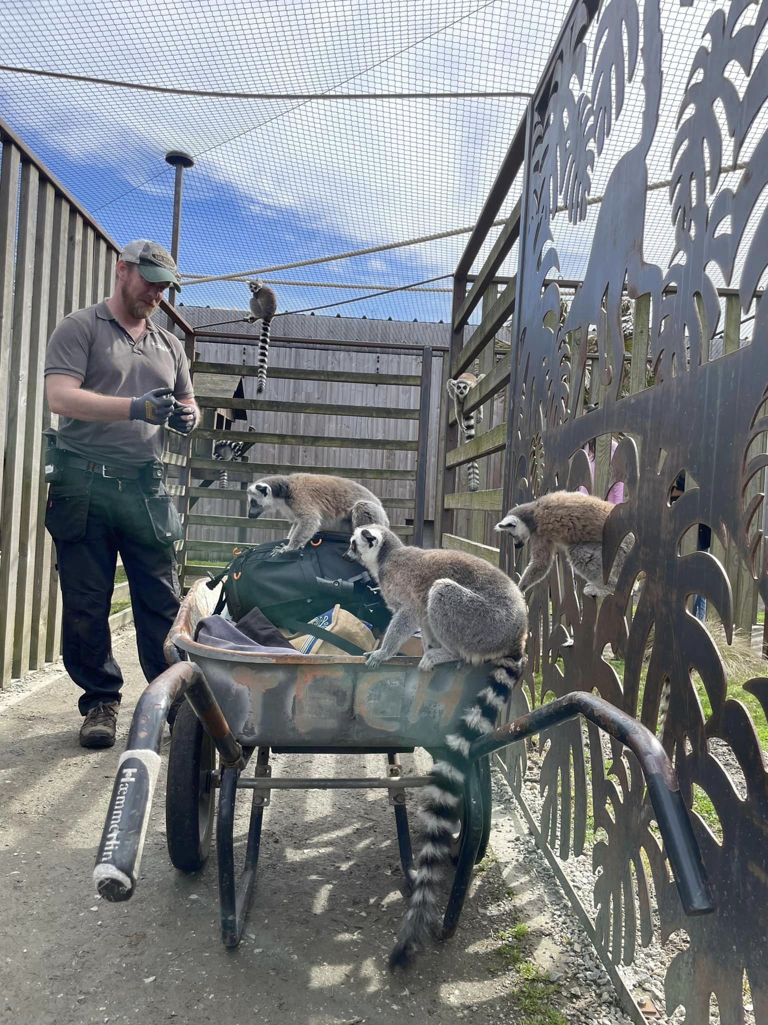 Zoo de Bordeaux Pessac,Pessac,33600,Nouvelle-Aquitaine,France
