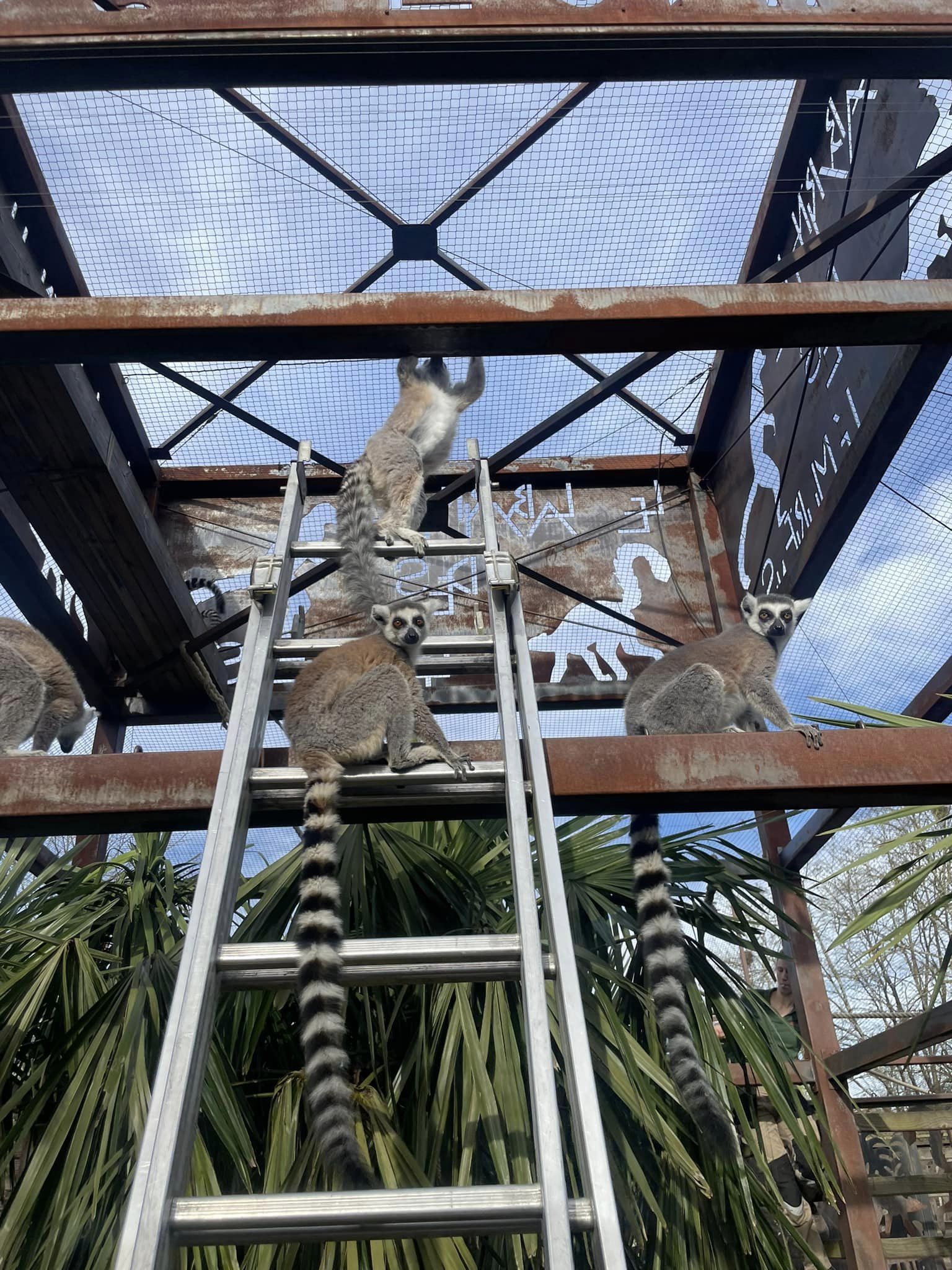 Zoo de Bordeaux Pessac,Pessac,33600,Nouvelle-Aquitaine,France