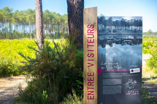 LAGUNES DU GÂT MORT,Louchats,33125,Nouvelle-Aquitaine,France