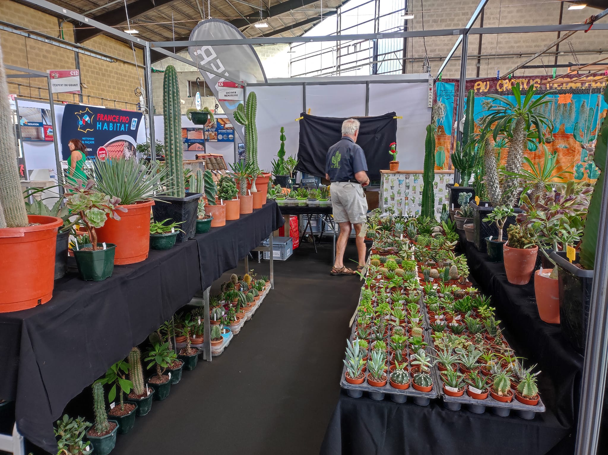 Une boutique de reproduction et vente de cactus et plantes grasses,Vertheuil,33180,Nouvelle-Aquitaine,France