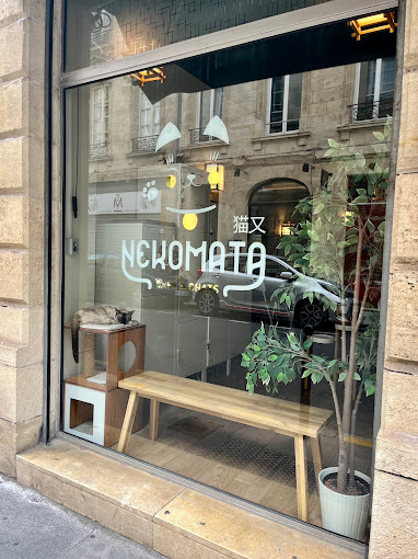 NEKOMATA - Café à chats,Bordeaux,33000,Nouvelle-Aquitaine,France