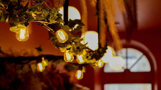 Buenavida,Bordeaux,33000,Nouvelle-Aquitaine,France