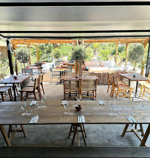 JAVA,Lège-Cap-Ferret,33970,Nouvelle-Aquitaine,France