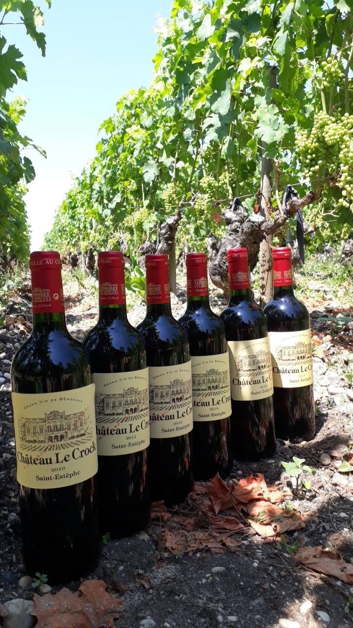 CHÂTEAU LE CROCK,Saint-Estèphe,33180,Nouvelle-Aquitaine,France